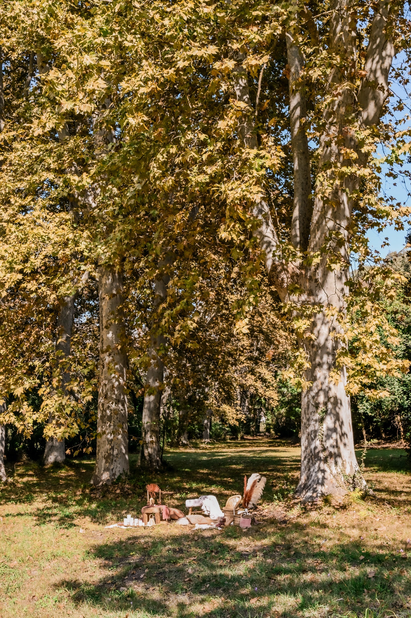 Shooting & fall picnic